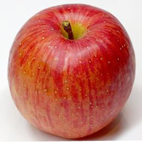 青森・福島産などの国内産　サンふじりんご １玉