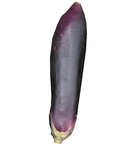 熊本・福岡などの国内産　長なす １本