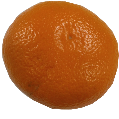 愛媛産　伊予柑（いよかん） １玉