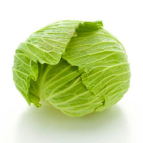 愛知・群馬産などの国内産　キャベツ １玉