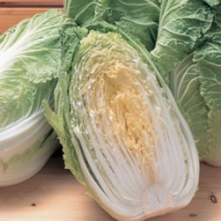 長崎・茨城産などの国内産 はくさい 1/2切