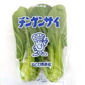 静岡・長野産などの国内産　チンゲンサイ １袋（２株〜３株入）