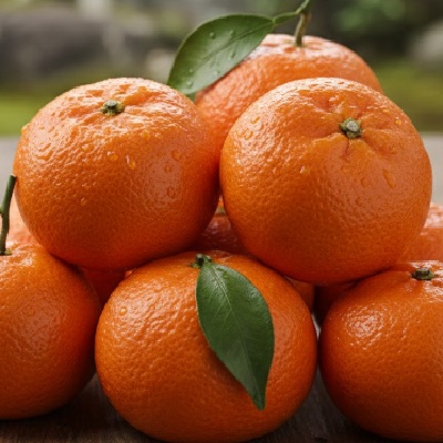 静岡県産　糖度11度選果　三ケ日マルナみかん １袋