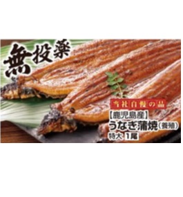 鹿児島県産 【鰻師の極】　うなぎ蒲焼・特大　（養殖） １尾