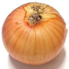 北海道産などの国内産　　たまねぎ（バラ） １玉