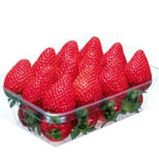 長崎・熊本産などのいちご（ゆうべに・ゆめのか・他） １パック